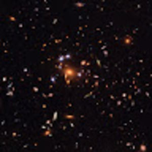 Meet your Posher, Chloe